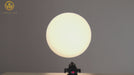 60w led profile warm white effect demo
